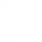 dsayles logo